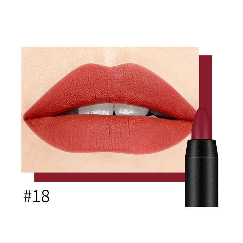 DNM Matte Matte Lipstick